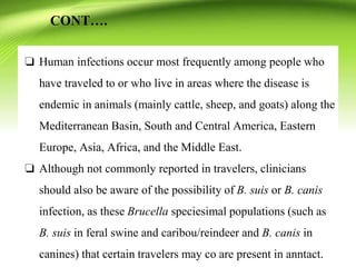 CONT….
❏ Human infections occur most frequently among people who
have traveled to or who live in areas where the disease is
endemic in animals (mainly cattle, sheep, and goats) along the
Mediterranean Basin, South and Central America, Eastern
Europe, Asia, Africa, and the Middle East.
❏ Although not commonly reported in travelers, clinicians
should also be aware of the possibility of B. suis or B. canis
infection, as these Brucella speciesimal populations (such as
B. suis in feral swine and caribou/reindeer and B. canis in
canines) that certain travelers may co are present in anntact.
 