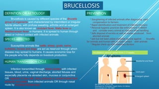 Brucellosis is caused by different species of the Brucella
group of organisms and characterized by intermittent or irregular
febrile attacks, with profuse sweating, arthritis and an enlarged
spleen. It is also known as Undulant fever, Malta fever or
Mediterranean fever in Humans. It is spread to human through
direct or indirect contact with infected animals
Susceptible animals like cattle, sheep. goats, swine,
buffaloes, horses and dogs are act as reservoir through which
disease may spread to humans. It causes economic loss for
the people who fully depends on livestock production.
Infection transmitted through direct contact with infected
tissues, blood, urine, vaginal discharge, aborted fetuses and
especially placenta via abraded skin, mucosa or conjunctiva
OR ingestion of raw milk, dairy products or contaminated food
products and water from infected animals OR through nasal
route by inhaling infected dust
* Slaughtering of infected animals after diagnosing paid
compensation to farmers
* Rapid identification and treatment of infected Humans
* Personal hygienic practices like enforcement of WASH
and consider every animal as infected while handling
* Safe disposal of excreta as well as wastes produced from
aborted animals
* last but not least utilize available vaccine against brucella
for animals and human who in close contact with animals
* Regular check up with veterinary doctors
Headache and fever
Joint pain
Enlarged spleen
Incubation period varies from 1-3 weeks
DEFINTION OR AETIOLOGY
SPECIES AFFECTED
HUMAN TRANSMISSION CYCLE
PREVENTION
BRUCELLOSIS
Symptoms
Ref: WHO, CDC, NCDC, OIE
Developed by: N.Gopalan, Yogesh Nehru, S.K. Behera
Acknowledgement: DST SEED
 