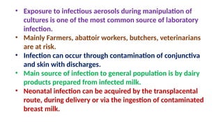 • Exposure to infectious aerosols during manipulation of
cultures is one of the most common source of laboratory
infection.
• Mainly Farmers, abattoir workers, butchers, veterinarians
are at risk.
• Infection can occur through contamination of conjunctiva
and skin with discharges.
• Main source of infection to general population is by dairy
products prepared from infected milk.
• Neonatal infection can be acquired by the transplacental
route, during delivery or via the ingestion of contaminated
breast milk.
 