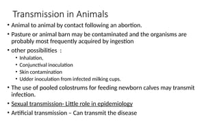 Transmission in Animals
• Animal to animal by contact following an abortion.
• Pasture or animal barn may be contaminated and the organisms are
probably most frequently acquired by ingestion
• other possibilities :
• Inhalation,
• Conjunctival inoculation
• Skin contamination
• Udder inoculation from infected milking cups.
• The use of pooled colostrums for feeding newborn calves may transmit
infection.
• Sexual transmission- Little role in epidemiology
• Artificial transmission – Can transmit the disease
 