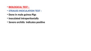• BIOLOGICAL TEST :
• STRAUSS INOCULATION TEST :
• Done in male guinea Pigs
• Inoculated intraperitonially
• Severe orchitis indicates positive
 