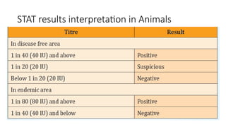 STAT results interpretation in Animals
 