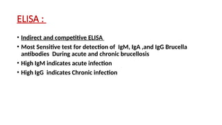 ELISA :
• Indirect and competitive ELISA
• Most Sensitive test for detection of IgM, IgA ,and IgG Brucella
antibodies During acute and chronic brucellosis
• High IgM indicates acute infection
• High IgG indicates Chronic infection
 