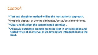 Control:
Test and slaughter method will be the most rational approach.
Hygienic disposal of uterine discharges,foetus,foetal membranes.
Clear and disinfect the contaminated premises .
All newly purchased animals are to be kept in strict isolation and
tested twice at an interval of 30 days before introduction into the
herd.
 