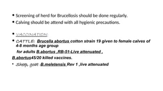  Screening of herd for Brucellosis should be done regularly.
 Calving should be attend with all hygienic precautions.
 VACCINATION:
 CATTLE: Brucella abortus cotton strain 19 given to female calves of
4-8 months age group
for adults B.abortus ,RB-51-Live attenuated ,
B.abortus45/20 killed vaccines.
• Sheep, goat :B.meletensis Rev 1 ,live attenuated
 