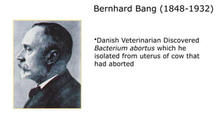 Bernhard Bang (1848-1932)
•Danish Veterinarian Discovered
Bacterium abortus which he
isolated from uterus of cow that
had aborted
Professor FEG Cox. The Wellcome Trust, Illustrated History of Tropical Diseases
 