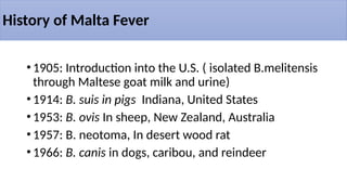History of Malta Fever
•1905: Introduction into the U.S. ( isolated B.melitensis
through Maltese goat milk and urine)
•1914: B. suis in pigs Indiana, United States
•1953: B. ovis In sheep, New Zealand, Australia
•1957: B. neotoma, In desert wood rat
•1966: B. canis in dogs, caribou, and reindeer
 