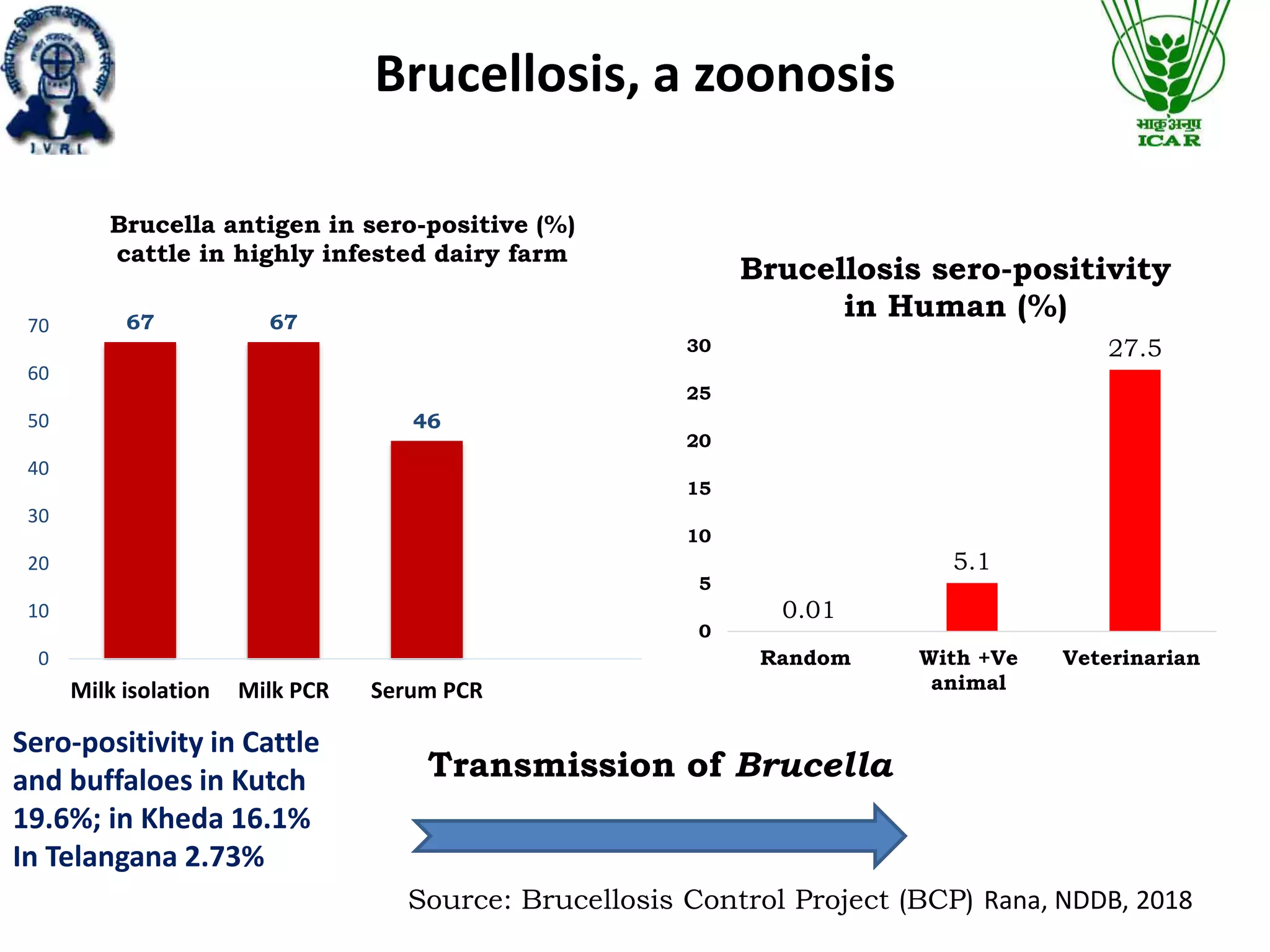 Brucellosis a negative modulator of reproduction | PPT