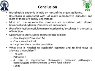 Brucellosis a negative modulator of reproduction | PPTX