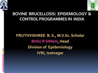 BOVINE BRUCELLOSIS: EPIDEMIOLOGY &
CONTROLPROGRAMMESIN INDIA
PRUTHVISHREE B. S., M.V.Sc. Scholar
BHOJ R SINGH, Head
Division of Epidemiology
IVRI, Izatnagar
 