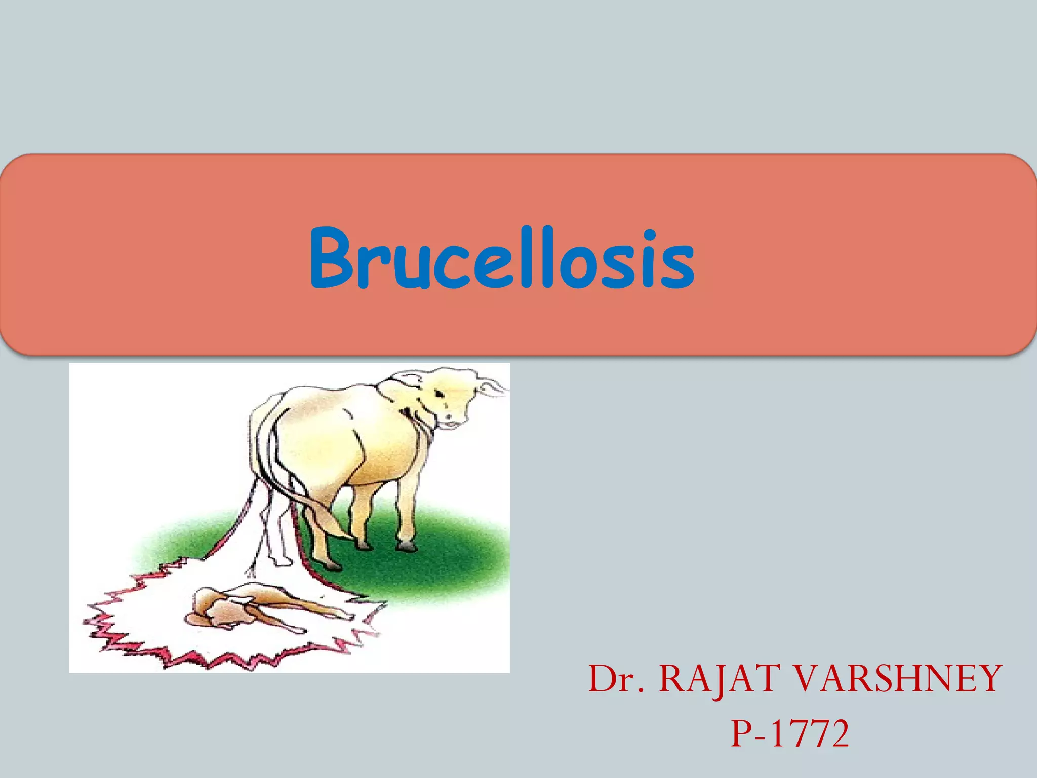 Brucellosis | PPT