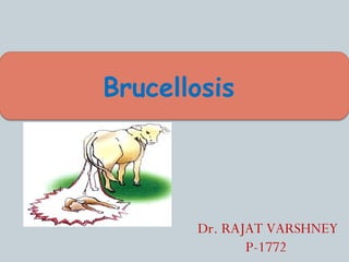 Brucellosis
Dr. RAJAT VARSHNEY
P-1772
 