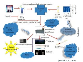 20
(Karthik et al., 2014)
 