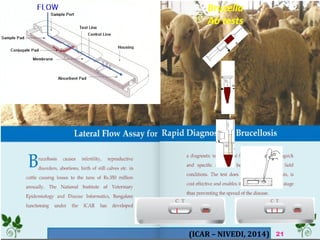 Brucella
Ab tests
21(ICAR – NIVEDI, 2014)
 