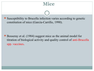 Mice
Susceptibility to Brucella infection varies according to genetic
constitution of mice (García-Carrillo, 1990).
Bosseray et al. (1984) suggest mice as the animal model for
titration of biological activity and quality control of anti-Brucella
spp. vaccines.
 