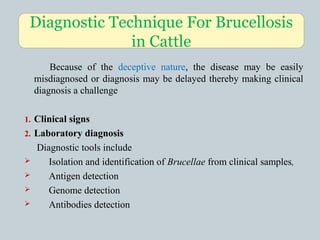 Because of the deceptive nature, the disease may be easily
misdiagnosed or diagnosis may be delayed thereby making clinical
diagnosis a challenge
1. Clinical signs
2. Laboratory diagnosis
Diagnostic tools include
 Isolation and identification of Brucellae from clinical samples,
 Antigen detection
 Genome detection
 Antibodies detection
Diagnostic Technique For Brucellosis
in Cattle
 