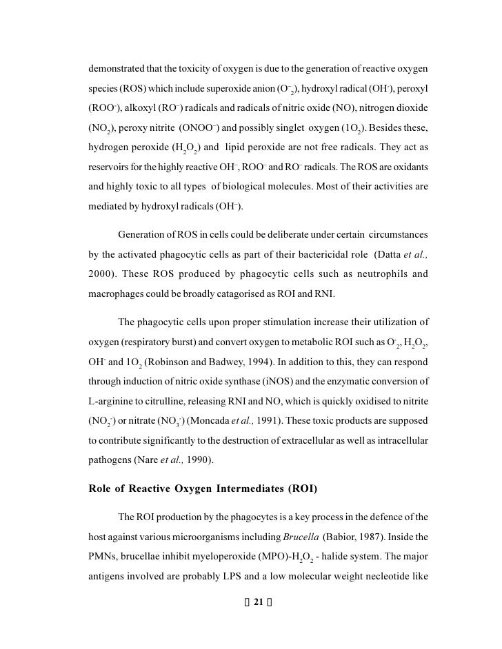 Postmasters thesis
