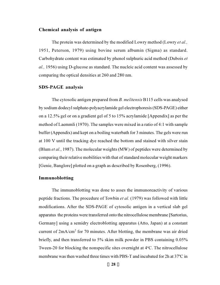 Bovine serum labumin thesis pdf