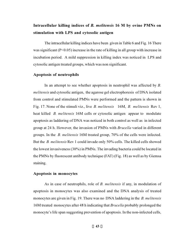 Introduction of brucellosis picture