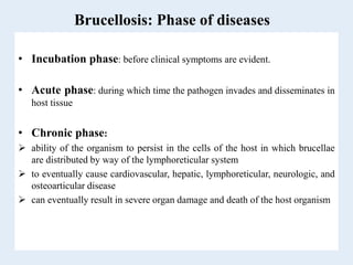 Brucellosis: Phase of diseases
• Incubation phase: before clinical symptoms are evident.
• Acute phase: during which time the pathogen invades and disseminates in
host tissue
• Chronic phase:
 ability of the organism to persist in the cells of the host in which brucellae
are distributed by way of the lymphoreticular system
 to eventually cause cardiovascular, hepatic, lymphoreticular, neurologic, and
osteoarticular disease
 can eventually result in severe organ damage and death of the host organism
 