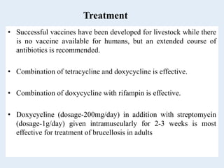Treatment
• Successful vaccines have been developed for livestock while there
is no vaccine available for humans, but an extended course of
antibiotics is recommended.
• Combination of tetracycline and doxycycline is effective.
• Combination of doxycycline with rifampin is effective.
• Doxycycline (dosage-200mg/day) in addition with streptomycin
(dosage-1g/day) given intramuscularly for 2-3 weeks is most
effective for treatment of brucellosis in adults
 