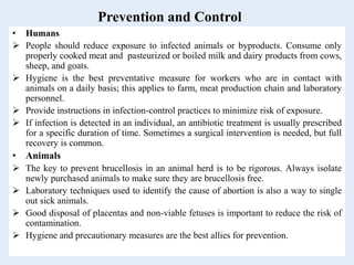 Prevention and Control
• Humans
 People should reduce exposure to infected animals or byproducts. Consume only
properly cooked meat and pasteurized or boiled milk and dairy products from cows,
sheep, and goats.
 Hygiene is the best preventative measure for workers who are in contact with
animals on a daily basis; this applies to farm, meat production chain and laboratory
personnel.
 Provide instructions in infection-control practices to minimize risk of exposure.
 If infection is detected in an individual, an antibiotic treatment is usually prescribed
for a specific duration of time. Sometimes a surgical intervention is needed, but full
recovery is common.
• Animals
 The key to prevent brucellosis in an animal herd is to be rigorous. Always isolate
newly purchased animals to make sure they are brucellosis free.
 Laboratory techniques used to identify the cause of abortion is also a way to single
out sick animals.
 Good disposal of placentas and non-viable fetuses is important to reduce the risk of
contamination.
 Hygiene and precautionary measures are the best allies for prevention.
 