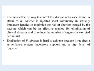 • The most effective way to control this disease is by vaccination. A
strain of B. abortus is injected most commonly in sexually
immature females to minimize the risk of abortion caused by the
vaccine which can be an effective method for elimination of
clinical diseases and to reduce the number of organisms excreted
per animal.
• Eradication of B. abortus is hard to achieve because it requires a
surveillance system, laboratory support and a high level of
hygiene.
 