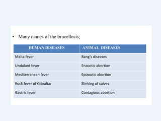 • Many names of the brucellosis;
HUMAN DISEASES ANIMAL DISEASES
Malta fever Bang’s diseases
Undulant fever Enzootic abortion
Mediterranean fever Epizootic abortion
Rock fever of Gibraltar Slinking of calves
Gastric fever Contagious abortion
 