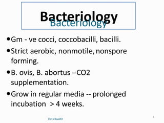 Bacteriology
Dr.T.V.RaoMD
8
Gm - ve cocci, coccobacilli, bacilli.
Strict aerobic, nonmotile,nonspore
forming.
B. ovis, B. abortus --CO2
supplementation.
Grow in regular media -- prolonged
incubation > 4 weeks.
 