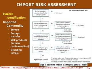 Brucellosis risk assessment