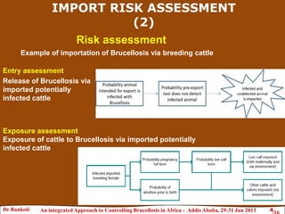 Brucellosis risk assessment