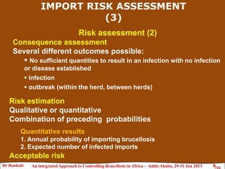 Brucellosis risk assessment