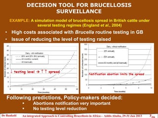 Brucellosis risk assessment