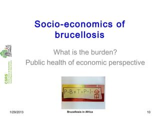 Economics of brucellosis