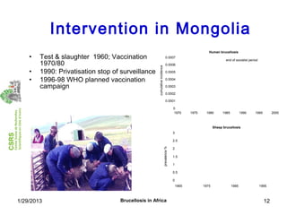 Economics of brucellosis