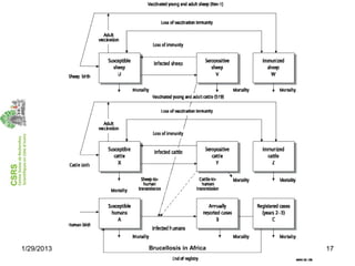 Economics of brucellosis
