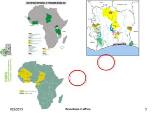 Economics of brucellosis