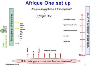 Economics of brucellosis