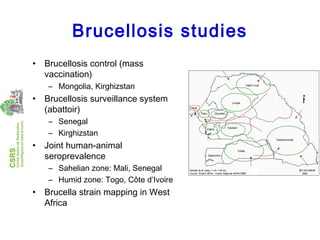 Economics of brucellosis