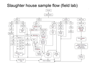 A framework for understanding zoonoses at the livestock-human interface in western Kenya