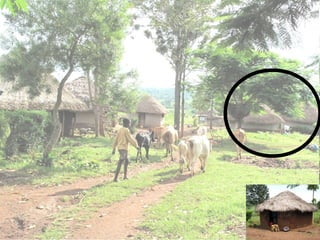 A framework for understanding zoonoses at the livestock-human interface in western Kenya