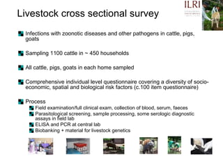 A framework for understanding zoonoses at the livestock-human interface in western Kenya