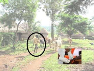 A framework for understanding zoonoses at the livestock-human interface in western Kenya