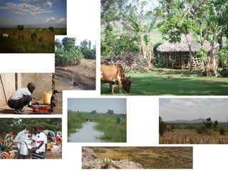 A framework for understanding zoonoses at the livestock-human interface in western Kenya