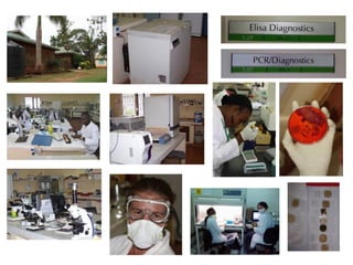 A framework for understanding zoonoses at the livestock-human interface in western Kenya