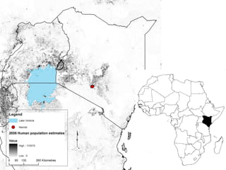 A framework for understanding zoonoses at the livestock-human interface in western Kenya