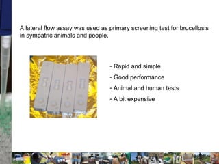 The (short) story of brucellosis in western Kenya