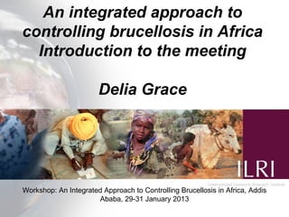 An integrated approach to
controlling brucellosis in Africa
Introduction to the meeting
Delia Grace
Workshop: An Integrated Approach to Controlling Brucellosis in Africa, Addis
Ababa, 29-31 January 2013
 