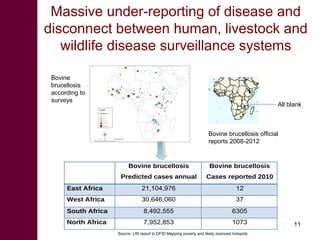 An integrated approach to controlling brucellosis in Africa: Introduction to the meeting