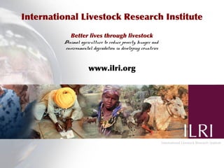 An integrated approach to controlling brucellosis in Africa: Introduction to the meeting